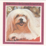 Sellos de Africa - Guinea Ecuatorial -  perros-Lhasa Apso