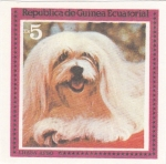 Stamps Equatorial Guinea -  perros-Lhasa Apso