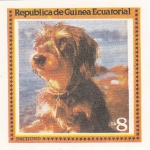 Sellos de Africa - Guinea Ecuatorial -  perros-Dachund