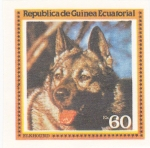 Stamps Equatorial Guinea -  perros-Elkhound