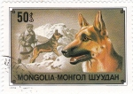 Sellos de Asia - Mongolia -  Perros