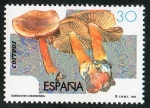 Stamps Spain -  3342- Micología. Cortinario canelo  ( Dermocybe cinnamomea ).