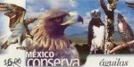 Stamps : America : Mexico :  Mexico conserva aves aguila 