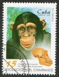 Sellos del Mundo : America : Cuba : Mamiferos. Evolución chimpance.