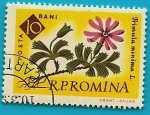 Sellos de Europa - Rumania -  Primula Minima - centenario del jardín botánico de Bucarest