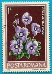Stamps Romania -  Violeta alpina