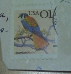 Stamps United States -  American kestrel
