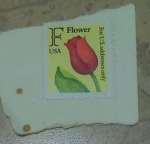 Stamps United States -  F flower