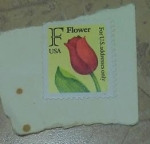 Sellos del Mundo : America : Estados_Unidos : F flower
