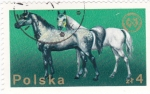 Stamps Poland -  caballos