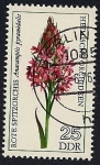 Stamps Germany -  Orquidea piramidal