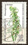Sellos de Europa - Alemania -   Orquídeas nativas.-Capricornio-cinturón de la lengua hircinum Himantoglossum(DDR) 