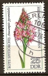 Stamps Germany -  Orquídeas nativas.-Rojo - Spitzorchis piramidal Anacamptis(DDR)