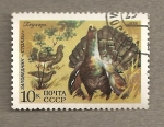 Stamps Russia -  Pavo real