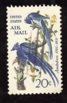 Stamps : America : United_States :  Audubon 1785-1851