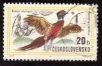 Stamps : Europe : Czechoslovakia :  Pájaro