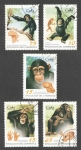 Sellos de America - Cuba -  Evolucion del Chimpance