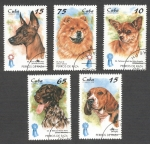 Stamps : America : Cuba :  Perros de Raza