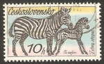 Sellos de Europa - Checoslovaquia -  2181 - Cebras