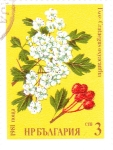 Stamps Bulgaria -  flores