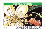Stamps Uruguay -  eugenia uniflora