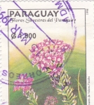 Stamps Paraguay -  flores silvestres del Paraguay