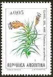 Stamps Argentina -  FLORES - CLAVEL DEL AIRE
