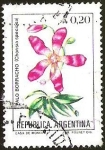 Stamps Argentina -  FLORES - PALO BORRACHO