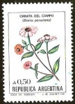 Stamps Argentina -  FLORES - CHINITA DEL CAMPO