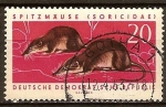 Stamps Germany -  Animales protegidos