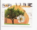 Stamps Canada -  la flor del albaricoque