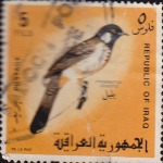 Stamps Iraq -  fauna