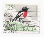 Stamps Australia -  petirrojo escarlata