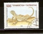 Stamps : Asia : Tajikistan :  PHRYNOCEPHALUS   HELIOSCOPUS