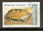 Stamps Africa - Togo -  STAUROTYPUS   TRIPURCATUS