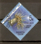 Stamps Russia -  ANEMONIA   SULCATA