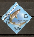 Stamps Russia -  SQUALUS   ACANTHIAS