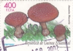 Stamps Equatorial Guinea -  Amanita muscaria