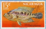 Stamps Nicaragua -  Guapote