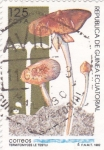 Stamps Equatorial Guinea -  termitomyces le testui