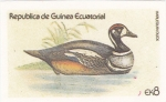 Stamps Equatorial Guinea -  patos