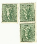 Sellos de Oceania - Australia -  Koala