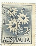 Stamps Australia -  Plannel Flowers