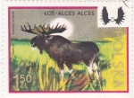 Stamps Poland -  alce