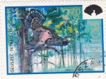 Stamps Poland -  Urogallo