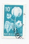 Sellos de Europa - Bulgaria -  flor algodon