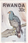 Stamps : Africa : Rwanda :  pajaros