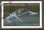 Stamps Azerbaijan -  LOLIGO   VULGARIS