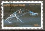 Sellos del Mundo : Asia : Azerbaijan : LOLIGO   VULGARIS