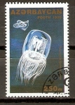 Stamps Asia - Azerbaijan -  POLYORCHIS   KARAFUTOENSIS